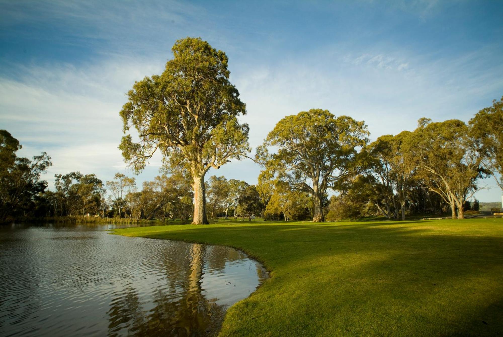 Serafino Mclaren Vale Exterior foto